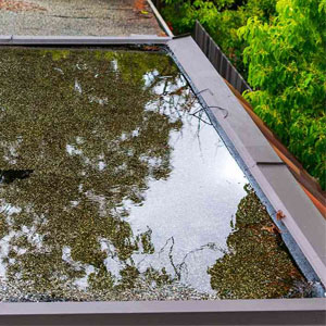 Commercial Roof Inspections - Standing Water